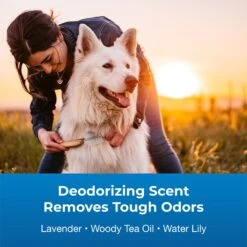 PetAg Fresh 'n Clean Good Sport Odor Control Dog Shampoo, 18-oz Bottle -Pet Wellness 645870 PT2. AC SS1800 V1667229280