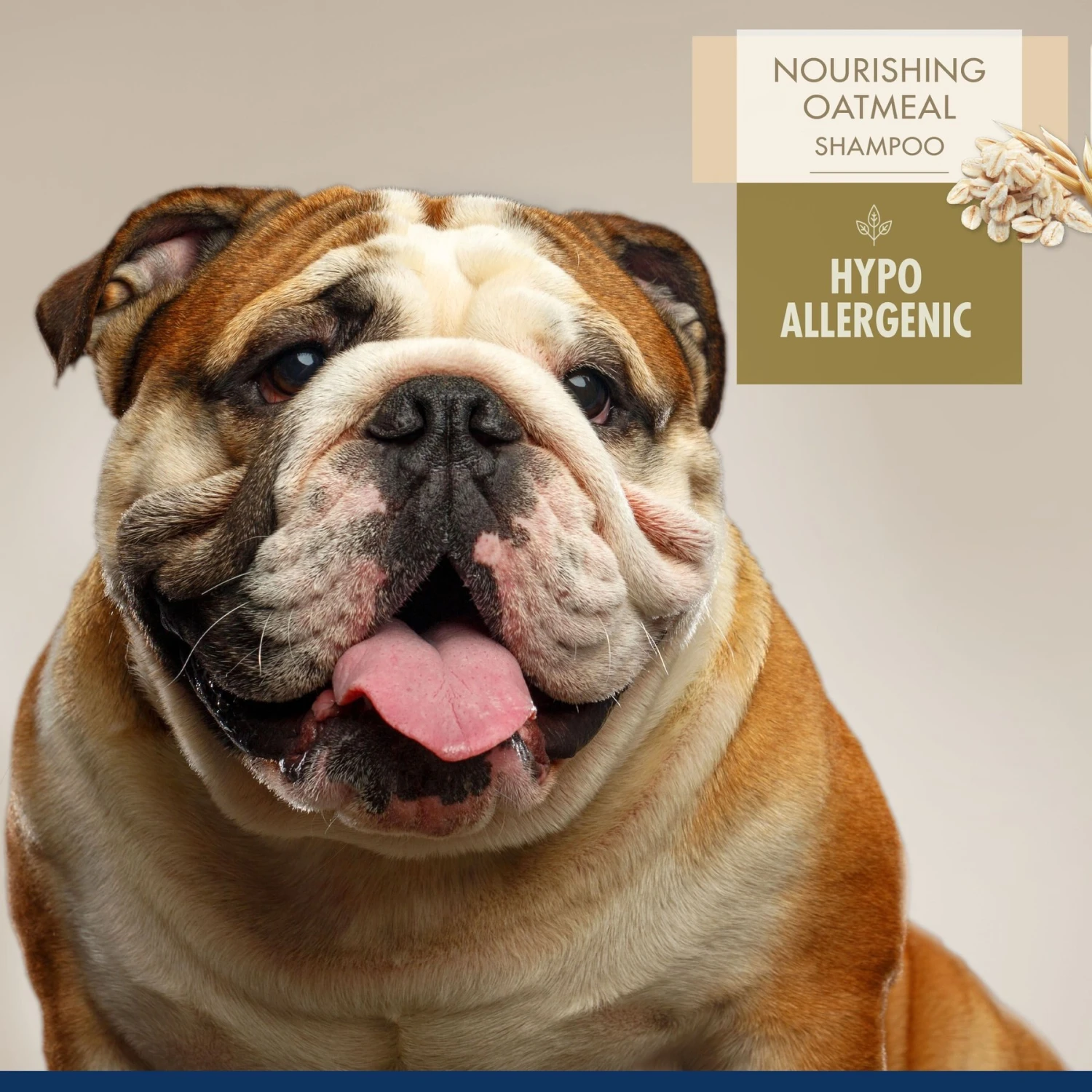 Four Paws Magic Coat Professional Series Nourishing Oatmeal Hypo-Allergenic Dog Shampoo, 16-oz Bag 2 Four Paws Magic Coat Professional Series Nourishing Oatmeal Hypo-Allergenic Dog Shampoo, 16-oz Bag - Image 2