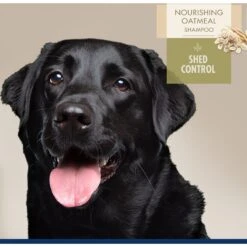 Four Paws Magic Coat Professional Series Nourishing Oatmeal De-Shedding Dog Shampoo, 16-oz Bag 11 Four Paws Magic Coat Professional Series Nourishing Oatmeal De-Shedding Dog Shampoo, 16-oz Bag -Pet Wellness 646222 PT2. AC SS1800 V1663875357