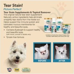 NaturVet Tear Stain Plus Lutein Soft Chews Vision Supplement For Cats & Dogs & Miracle Care Eye Clear Cleaning Pads For Dogs & Cats -Pet Wellness 646998 PT4. AC SS1800 V1664554795