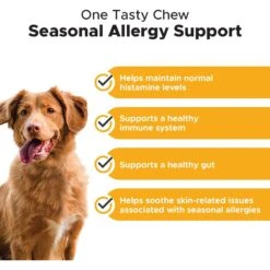 PetHonesty Allergy Support Salmon Flavored Soft Chews Supplement For Dogs & NaturVet Aller-911 Allergy Aid Skin Care Plus Aloe Vera Dog & Cat Shampoo -Pet Wellness 647006 PT5. AC SS1800 V1676649058