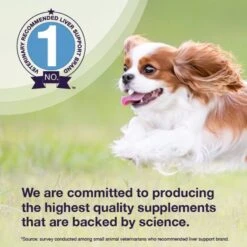 Nutramax Denamarin With S-Adenosylmethionine & Silybin Tablets Liver Supplement For Small Dogs & Cats -Pet Wellness 647286 PT3. AC SS1800 V1668633697