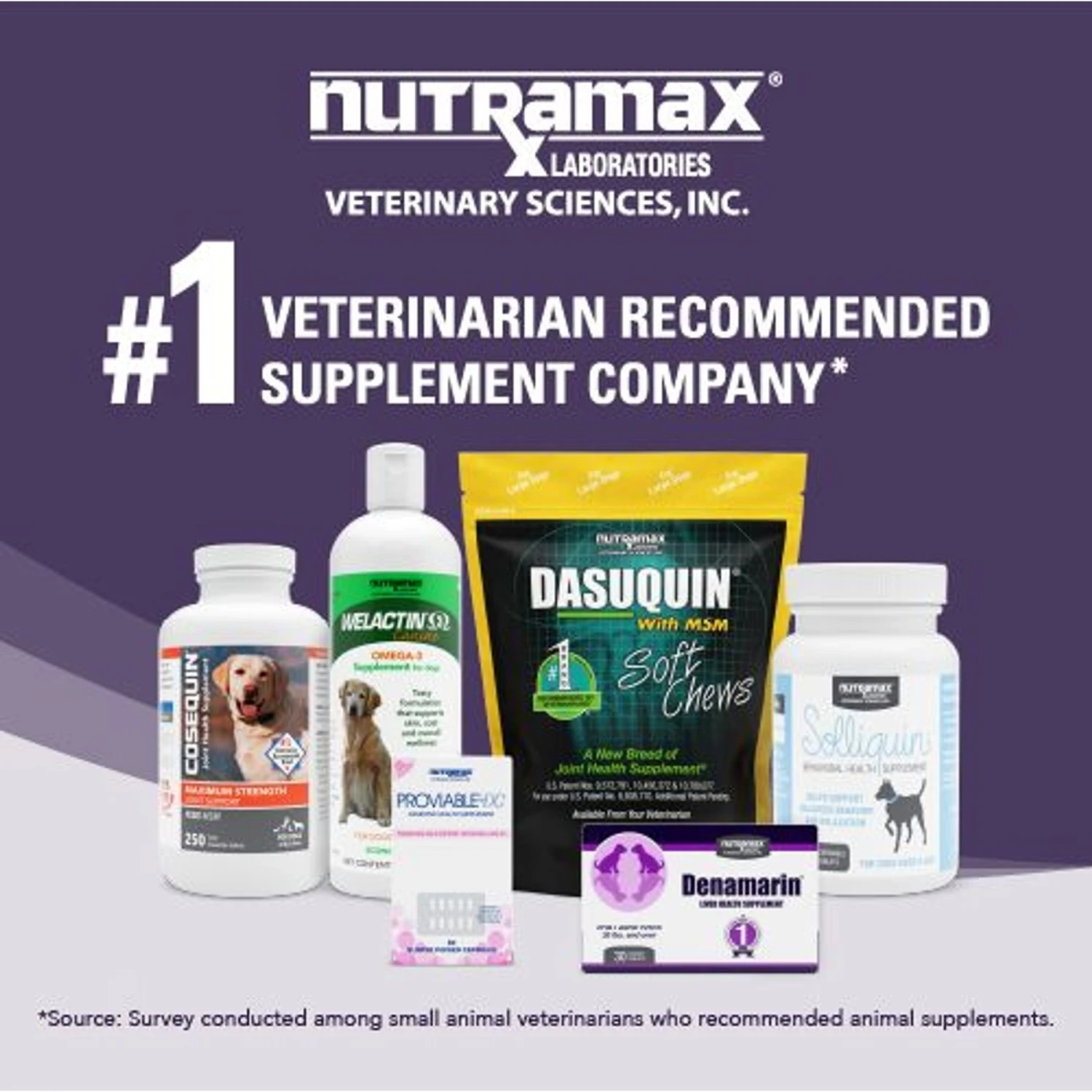 Nutramax Denamarin With S-Adenosylmethionine & Silybin Tablets Liver Supplement For Medium Dogs 8 Nutramax Denamarin With S-Adenosylmethionine & Silybin Tablets Liver Supplement For Medium Dogs - Image 8