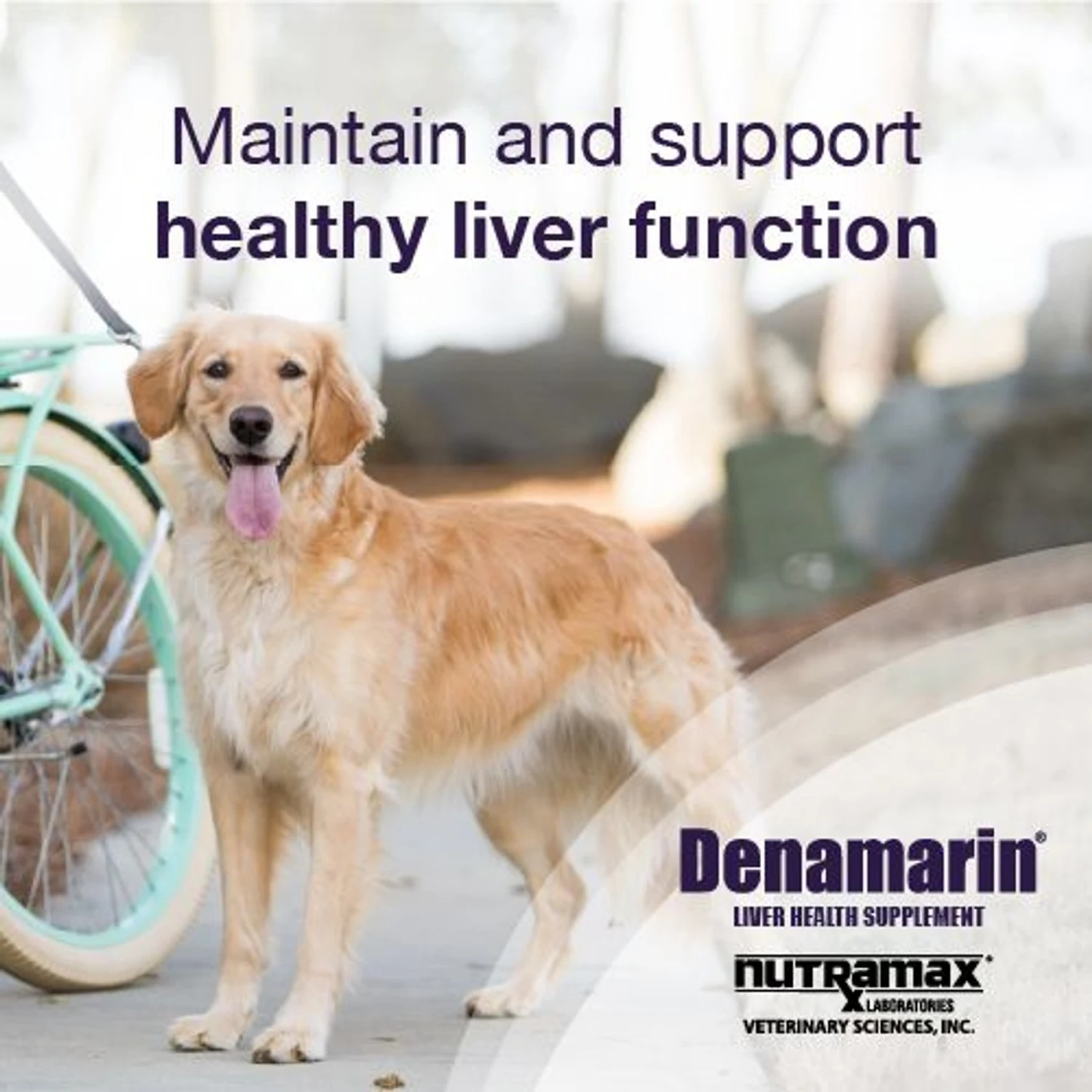 Nutramax Denamarin With S-Adenosylmethionine & Silybin Tablet Liver Supplement For Large Dogs 2 Nutramax Denamarin With S-Adenosylmethionine & Silybin Tablet Liver Supplement For Large Dogs - Image 2