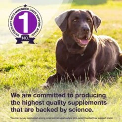 Nutramax Denamarin With S-Adenosylmethionine & Silybin Tablet Liver Supplement For Large Dogs 12 Nutramax Denamarin With S-Adenosylmethionine & Silybin Tablet Liver Supplement For Large Dogs -Pet Wellness 647318 PT3. AC SS1800 V1668631465