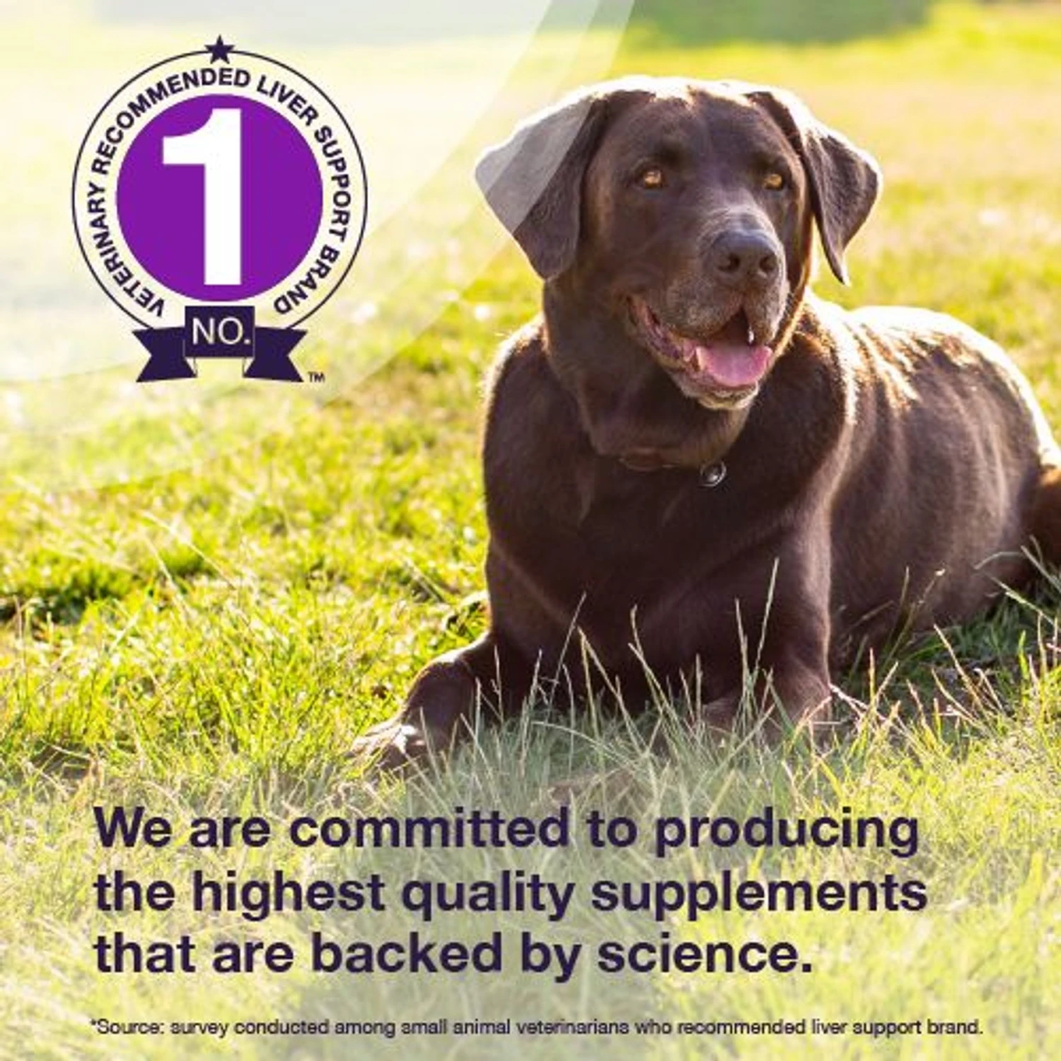 Nutramax Denamarin With S-Adenosylmethionine & Silybin Tablet Liver Supplement For Large Dogs 4 Nutramax Denamarin With S-Adenosylmethionine & Silybin Tablet Liver Supplement For Large Dogs - Image 4