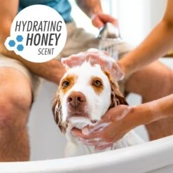 FURminator One Earth Hemp Hydrating Honey Scented 2-in-1 Moisturizing Dog Shampoo & Conditioner, Blue, 16-oz Bottle -Pet Wellness 648214 PT5. AC SS1800 V1667599087