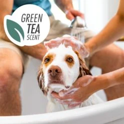FURminator One Earth Hemp Hypoallergenic Green Tea Scented 2-in-1 Dog Shampoo & Conditioner, Green, 16-oz Bottle -Pet Wellness 648230 PT5. AC SS1800 V1667598845