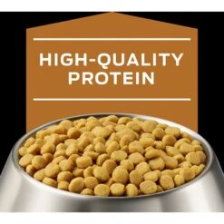 Purina Pro Plan Veterinary Diets NF Kidney Function Dry Dog Food -Pet Wellness 65063 PT3. AC SS1800 V1700156710