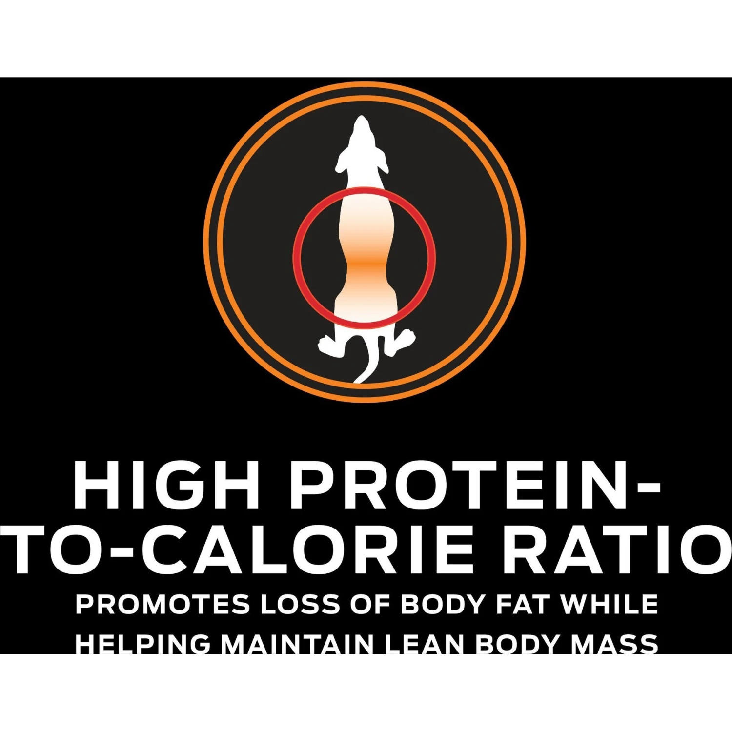 Purina Pro Plan Veterinary Diets OM Overweight Management Dry Dog Food 7 Purina Pro Plan Veterinary Diets OM Overweight Management Dry Dog Food - Image 7