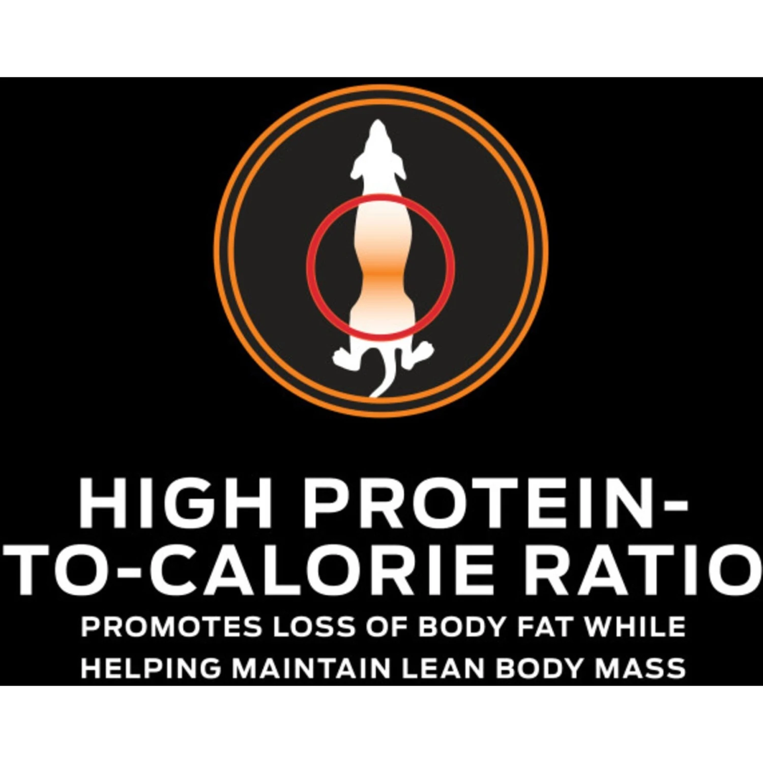 Purina Pro Plan Veterinary Diets OM Overweight Management Select Blend Chicken Flavor Dry Dog Food 7 Purina Pro Plan Veterinary Diets OM Overweight Management Select Blend Chicken Flavor Dry Dog Food - Image 7