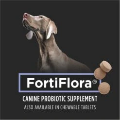 Purina Pro Plan Veterinary Diets FortiFlora Powder Digestive Supplement For Dogs 13 Purina Pro Plan Veterinary Diets FortiFlora Powder Digestive Supplement For Dogs -Pet Wellness 65072 PT4. AC SS1800 V1691095979
