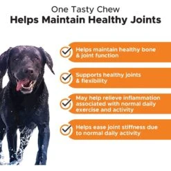 PetHonesty Advanced Hip + Joint Chicken Flavored Soft Chews Joint Supplement For Dogs & PetHonesty Multivitamin 10-in-1 Chicken Flavored Soft Chews Multivitamin For Dogs -Pet Wellness 656982 PT8. AC SS1800 V1678392505