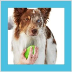 ConairPROPET Pet-It 3-in Deshedder Dog Grooming Tool, Green -Pet Wellness 658782 PT5. AC SS1800 V1696008974