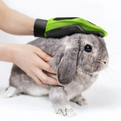 ConairPROPET Dog Grooming Glove, Green -Pet Wellness 658814 PT3. AC SS1800 V1666838997