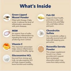 Honest Paws Hip & Joint Dog Supplement, 75-g Jar 12 Honest Paws Hip & Joint Dog Supplement, 75-g Jar -Pet Wellness 662086 PT3. AC SS1800 V1671054284