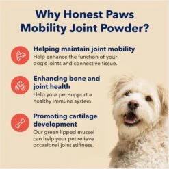 Honest Paws Hip & Joint Dog Supplement, 75-g Jar 14 Honest Paws Hip & Joint Dog Supplement, 75-g Jar -Pet Wellness 662086 PT5. AC SS1800 V1671054284