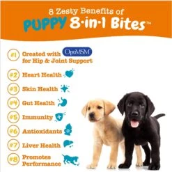 Zesty Paws Puppy 8-in-1 Chicken Flavor Soft Chews Multivitamin Supplement For Dogs + 2 Items -Pet Wellness 662366 PT2. AC SS1800 V1697138531