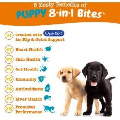 Zesty Paws Puppy 8-in-1 Chicken Flavor Soft Chews Multivitamin Supplement For Dogs & Zesty Paws Wild Alaskan Salmon Oil Liquid Skin & Coat Supplement For Dogs & Cats -Pet Wellness 662790 PT7. AC SS1800 V1701878417