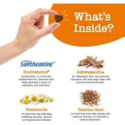 Zesty Paws Hemp Calming Bites Peanut Butter Flavored Soft Chews Composure & Relaxation Supplement For Dogs & Nylabone Power Chew Textured Dog Chew Ring Toy Flavor Medley 11 Zesty Paws Hemp Calming Bites Peanut Butter Flavored Soft Chews Composure & Relaxation Supplement For Dogs & Nylabone Power Chew Textured Dog Chew Ring Toy Flavor Medley -Pet Wellness 662814 PT2. AC SS1800 V1699554832