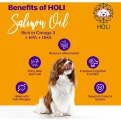 HOLI Pure Icelandic Salmon Oil Skin & Coat Health Dog Supplement 9 HOLI Pure Icelandic Salmon Oil Skin & Coat Health Dog Supplement -Pet Wellness 662854 PT3. AC SS1800 V1667356053