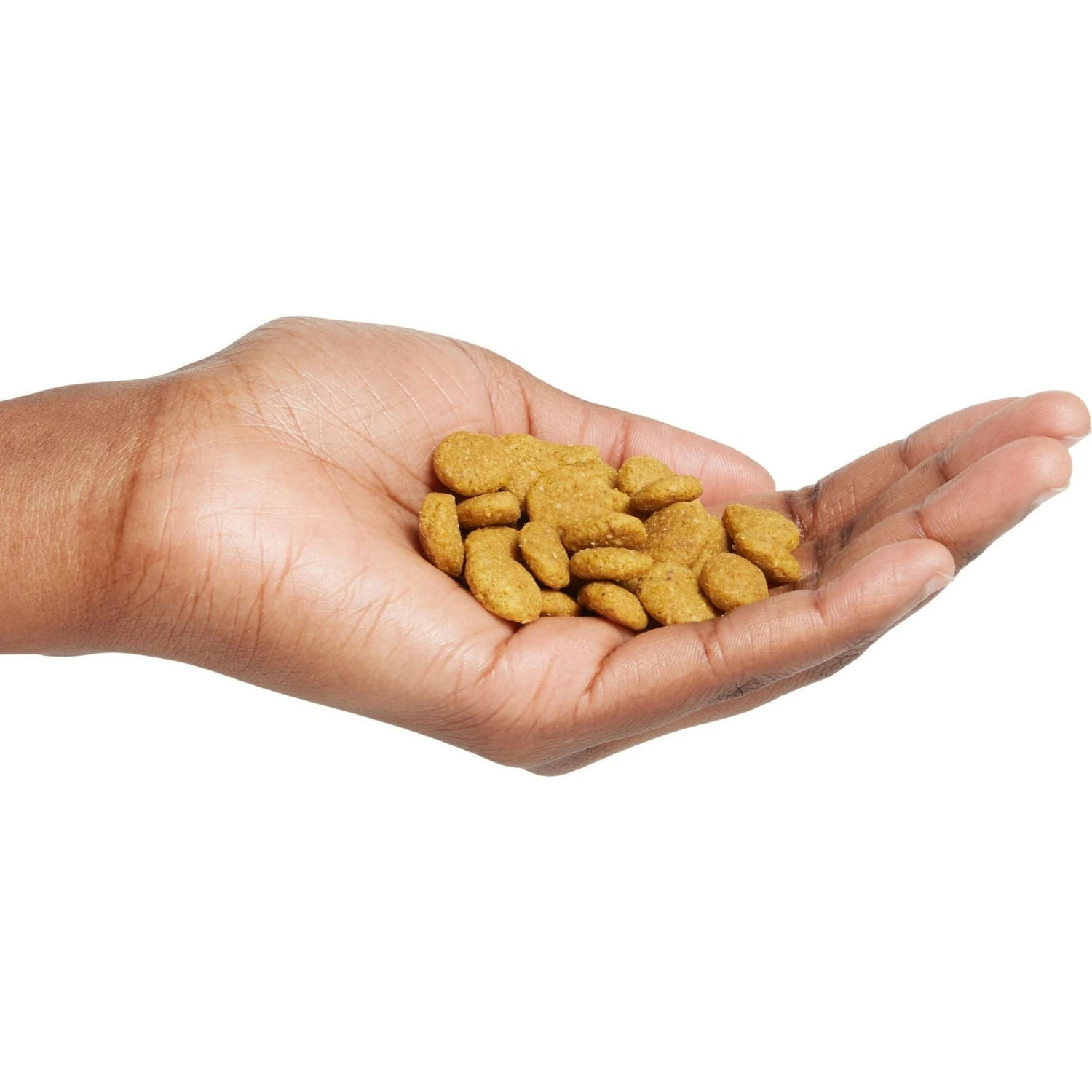 Purina Pro Plan High Protein Chicken & Rice Formula Large Breed Dry Puppy Food 5 Purina Pro Plan High Protein Chicken & Rice Formula Large Breed Dry Puppy Food - Image 5