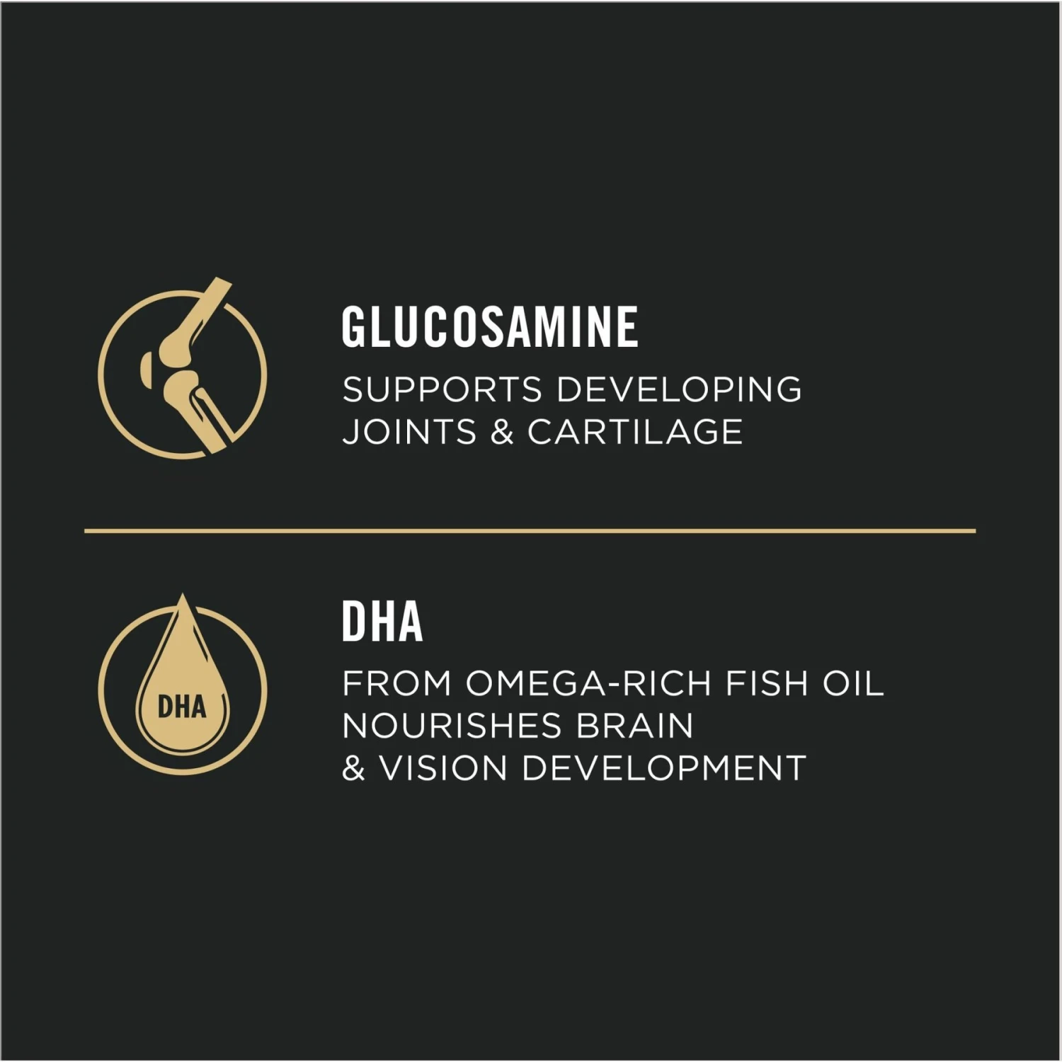 Purina Pro Plan High Protein Chicken & Rice Formula Large Breed Dry Puppy Food 7 Purina Pro Plan High Protein Chicken & Rice Formula Large Breed Dry Puppy Food - Image 7