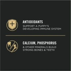 Purina Pro Plan High Protein Chicken & Rice Formula Large Breed Dry Puppy Food 16 Purina Pro Plan High Protein Chicken & Rice Formula Large Breed Dry Puppy Food -Pet Wellness 67488 PT7. AC SS1800 V1683575011