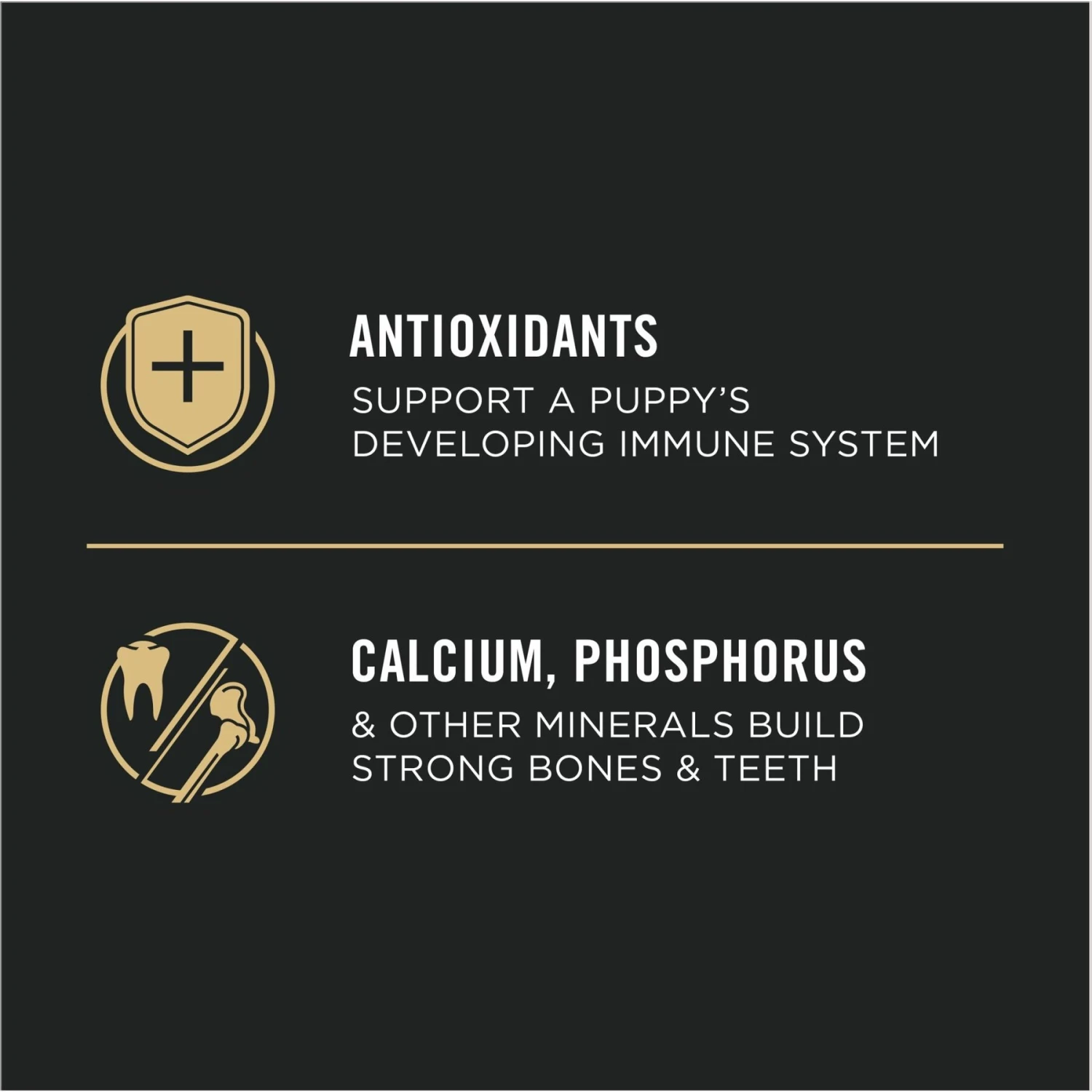 Purina Pro Plan High Protein Chicken & Rice Formula Large Breed Dry Puppy Food 8 Purina Pro Plan High Protein Chicken & Rice Formula Large Breed Dry Puppy Food - Image 8