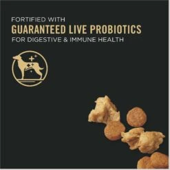 Purina Pro Plan Adult 7+ Shredded Blend Chicken & Rice Formula Dry Dog Food 11 Purina Pro Plan Adult 7+ Shredded Blend Chicken & Rice Formula Dry Dog Food -Pet Wellness 67527 PT2. AC SS1800 V1649219786