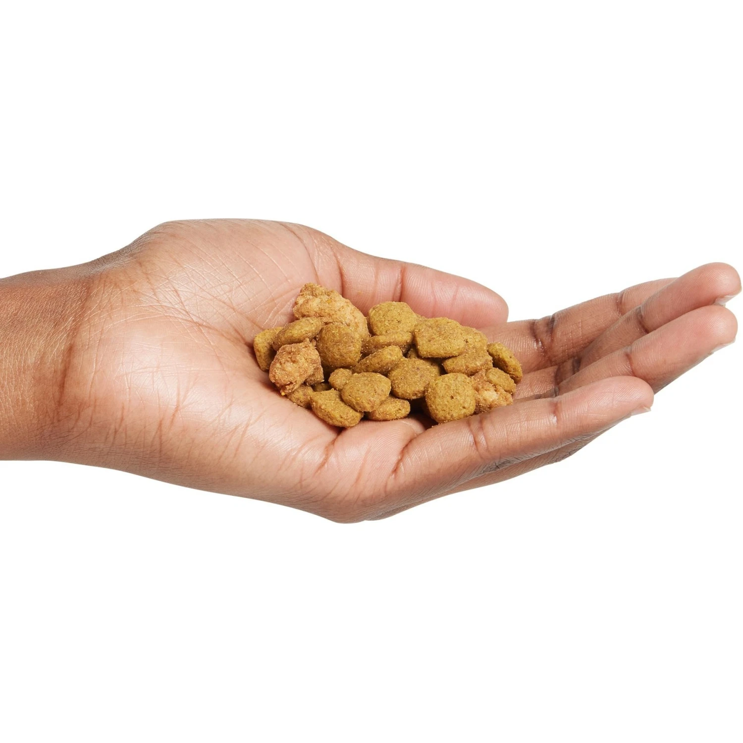 Purina Pro Plan Adult 7+ Shredded Blend Chicken & Rice Formula Dry Dog Food 5 Purina Pro Plan Adult 7+ Shredded Blend Chicken & Rice Formula Dry Dog Food - Image 5