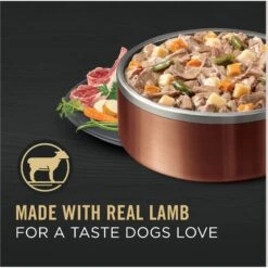 Purina Pro Plan Savor Adult Lamb & Vegetables Entree Slices In Gravy Canned Dog Food 11 Purina Pro Plan Savor Adult Lamb & Vegetables Entree Slices In Gravy Canned Dog Food -Pet Wellness 67579 PT2. AC SS1800 V1689786106