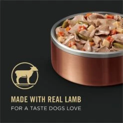 Purina Pro Plan Savor Adult Lamb & Vegetables Entree Slices In Gravy Canned Dog Food 17 Purina Pro Plan Savor Adult Lamb & Vegetables Entree Slices In Gravy Canned Dog Food -Pet Wellness 67579 PT8. AC SS1800 V1638307586