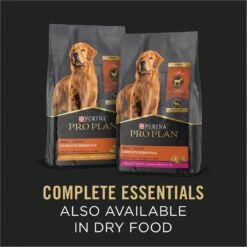 Purina Pro Plan Savor Adult Grain-Free Classic Chicken & Carrots Entree Canned Dog Food 15 Purina Pro Plan Savor Adult Grain-Free Classic Chicken & Carrots Entree Canned Dog Food -Pet Wellness 67780 PT6. AC SS1800 V1689786232
