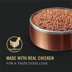 Purina Pro Plan Savor Adult Grain-Free Classic Chicken & Carrots Entree Canned Dog Food 17 Purina Pro Plan Savor Adult Grain-Free Classic Chicken & Carrots Entree Canned Dog Food -Pet Wellness 67780 PT8. AC SS1800 V1638307316