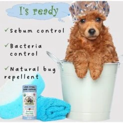 Momma Knows Best Dry Dog Shampoo, 6-oz Bottle -Pet Wellness 678678 PT5. AC SS1800 V1666298365