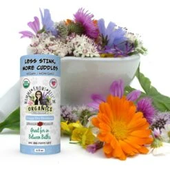 Momma Knows Best Dry Dog Shampoo, 6-oz Bottle -Pet Wellness 678678 PT6. AC SS1800 V1666297968