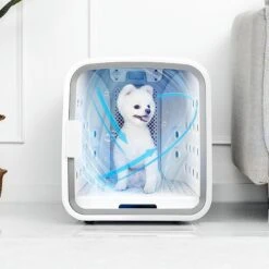 Cuckoo Dog Dryer Room 13 Cuckoo Dog Dryer Room -Pet Wellness 682142 PT4. AC SS1800 V1666043299