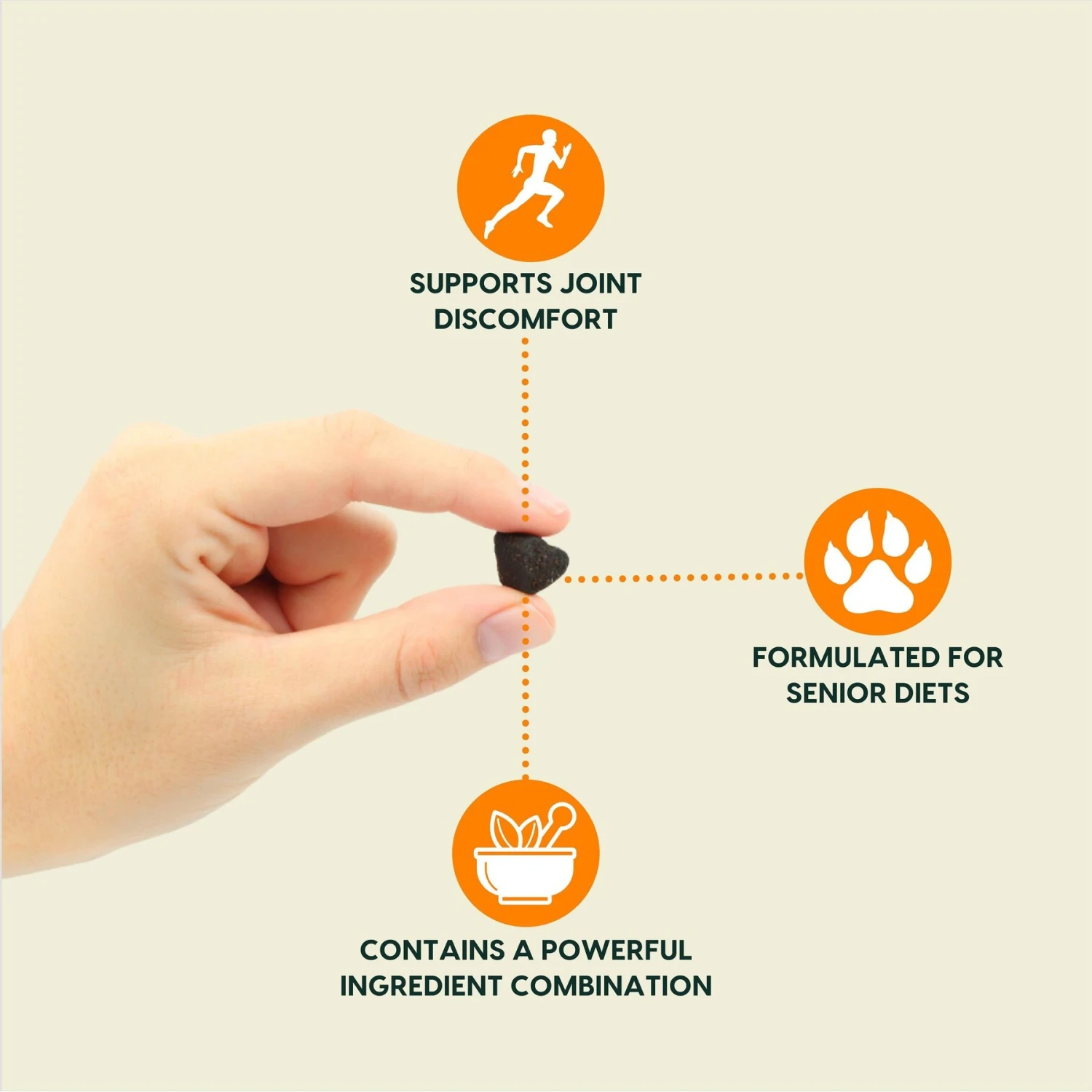 Ark Naturals Gray Muzzle Old Bones Happy Joint Soft Chew Joint Supplement For Senior Dogs 2 Ark Naturals Gray Muzzle Old Bones Happy Joint Soft Chew Joint Supplement For Senior Dogs - Image 2