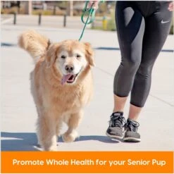 Ark Naturals Gray Muzzle Old Bones Happy Joint Soft Chew Joint Supplement For Senior Dogs 12 Ark Naturals Gray Muzzle Old Bones Happy Joint Soft Chew Joint Supplement For Senior Dogs -Pet Wellness 68379 PT3. AC SS1800 V1697054856