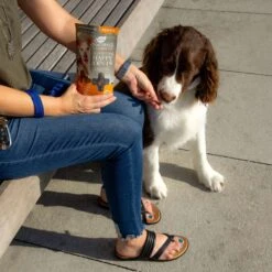 Ark Naturals Gray Muzzle Old Bones Happy Joint Soft Chew Joint Supplement For Senior Dogs 13 Ark Naturals Gray Muzzle Old Bones Happy Joint Soft Chew Joint Supplement For Senior Dogs -Pet Wellness 68379 PT4. AC SS1800 V1697052970