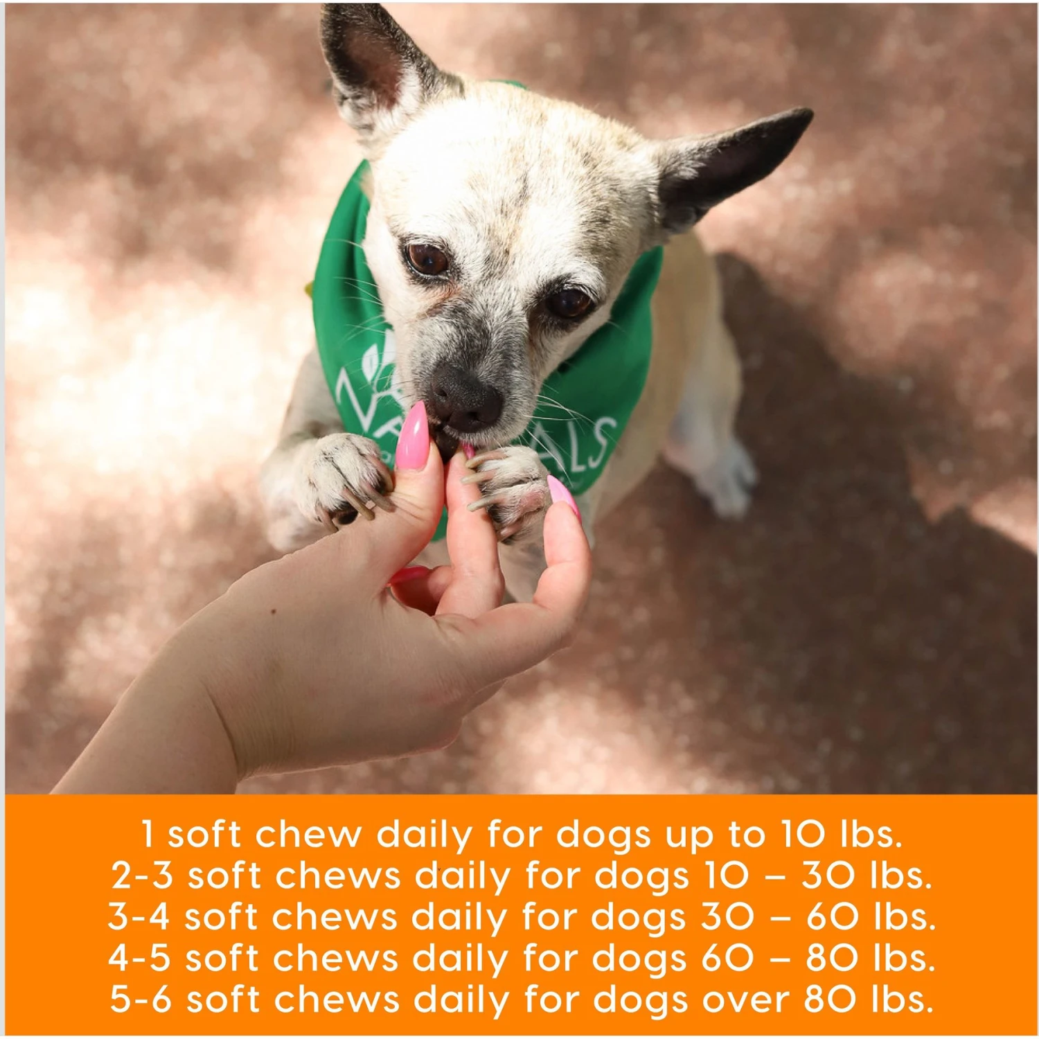 Ark Naturals Gray Muzzle Old Bones Happy Joint Soft Chew Joint Supplement For Senior Dogs 7 Ark Naturals Gray Muzzle Old Bones Happy Joint Soft Chew Joint Supplement For Senior Dogs - Image 7