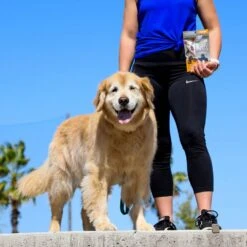 Ark Naturals Gray Muzzle Old Bones Happy Joint Soft Chew Joint Supplement For Senior Dogs 16 Ark Naturals Gray Muzzle Old Bones Happy Joint Soft Chew Joint Supplement For Senior Dogs -Pet Wellness 68379 PT7. AC SS1800 V1697054919