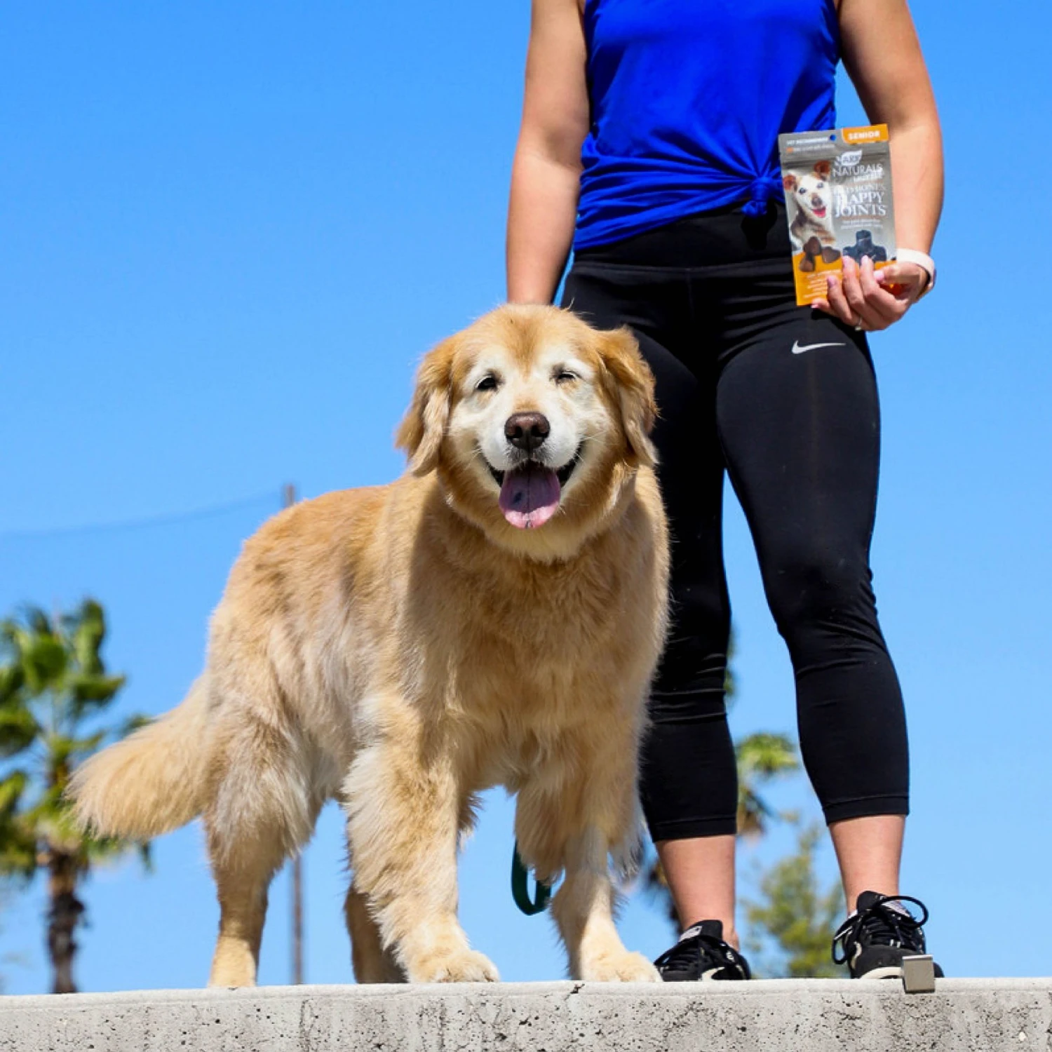 Ark Naturals Gray Muzzle Old Bones Happy Joint Soft Chew Joint Supplement For Senior Dogs 8 Ark Naturals Gray Muzzle Old Bones Happy Joint Soft Chew Joint Supplement For Senior Dogs - Image 8