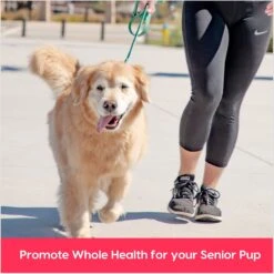 Ark Naturals Gray Muzzle Heart Health Senior Dog Treats -Pet Wellness 68380 PT3. AC SS1800 V1697054859