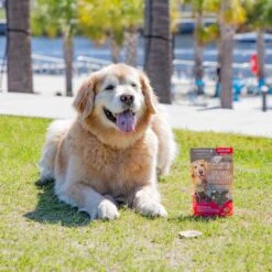 Ark Naturals Gray Muzzle Heart Health Senior Dog Treats -Pet Wellness 68380 PT4. AC SS1800 V1697052908