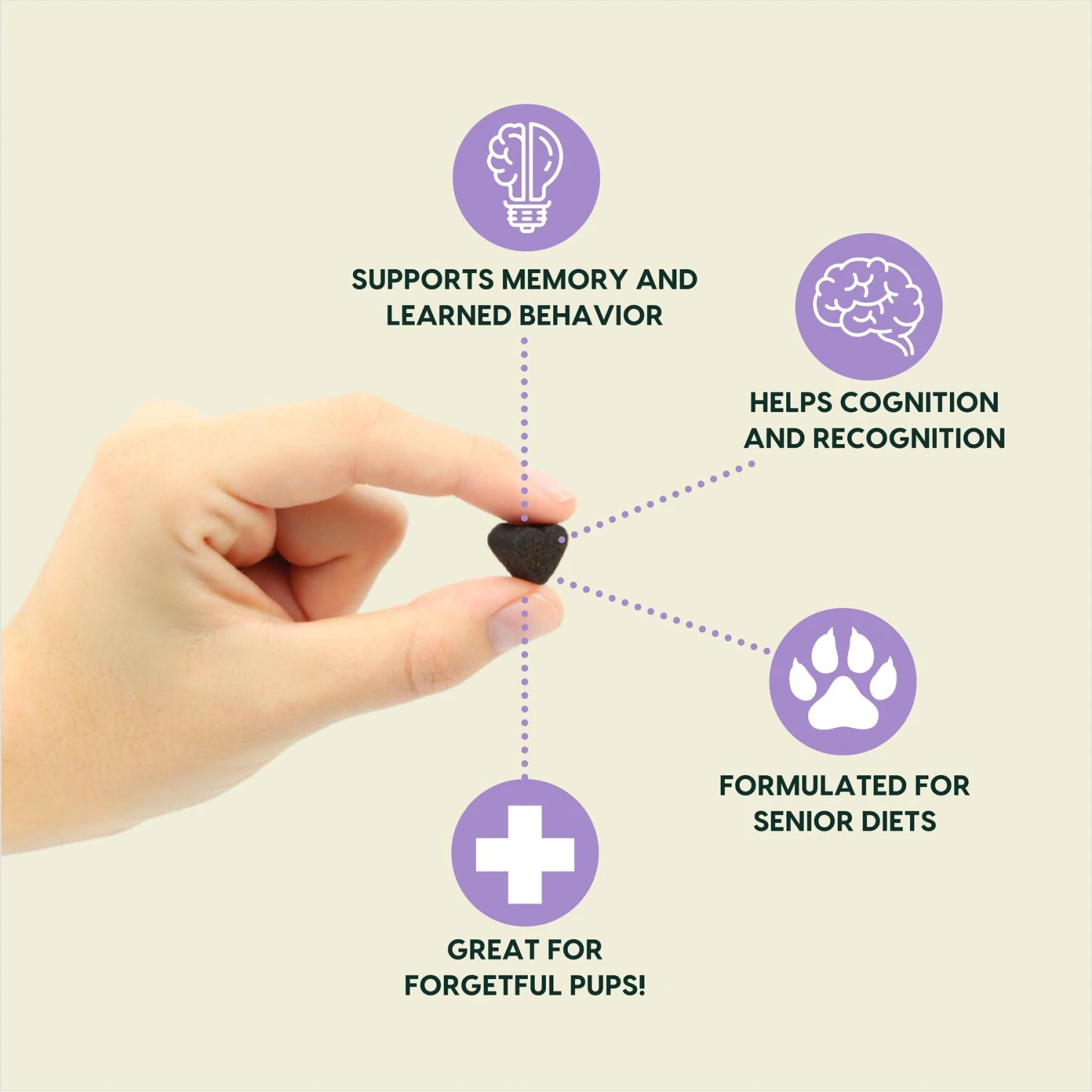 Ark Naturals Gray Muzzle Brain's Best Friend Soft Chew Brain & Nervous System Supplement For Senior Dogs 2 Ark Naturals Gray Muzzle Brain's Best Friend Soft Chew Brain & Nervous System Supplement For Senior Dogs - Image 2