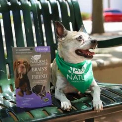 Ark Naturals Gray Muzzle Brain's Best Friend Soft Chew Brain & Nervous System Supplement For Senior Dogs 13 Ark Naturals Gray Muzzle Brain's Best Friend Soft Chew Brain & Nervous System Supplement For Senior Dogs -Pet Wellness 68381 PT4. AC SS1800 V1697052904