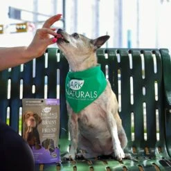 Ark Naturals Gray Muzzle Brain's Best Friend Soft Chew Brain & Nervous System Supplement For Senior Dogs 16 Ark Naturals Gray Muzzle Brain's Best Friend Soft Chew Brain & Nervous System Supplement For Senior Dogs -Pet Wellness 68381 PT7. AC SS1800 V1697052904