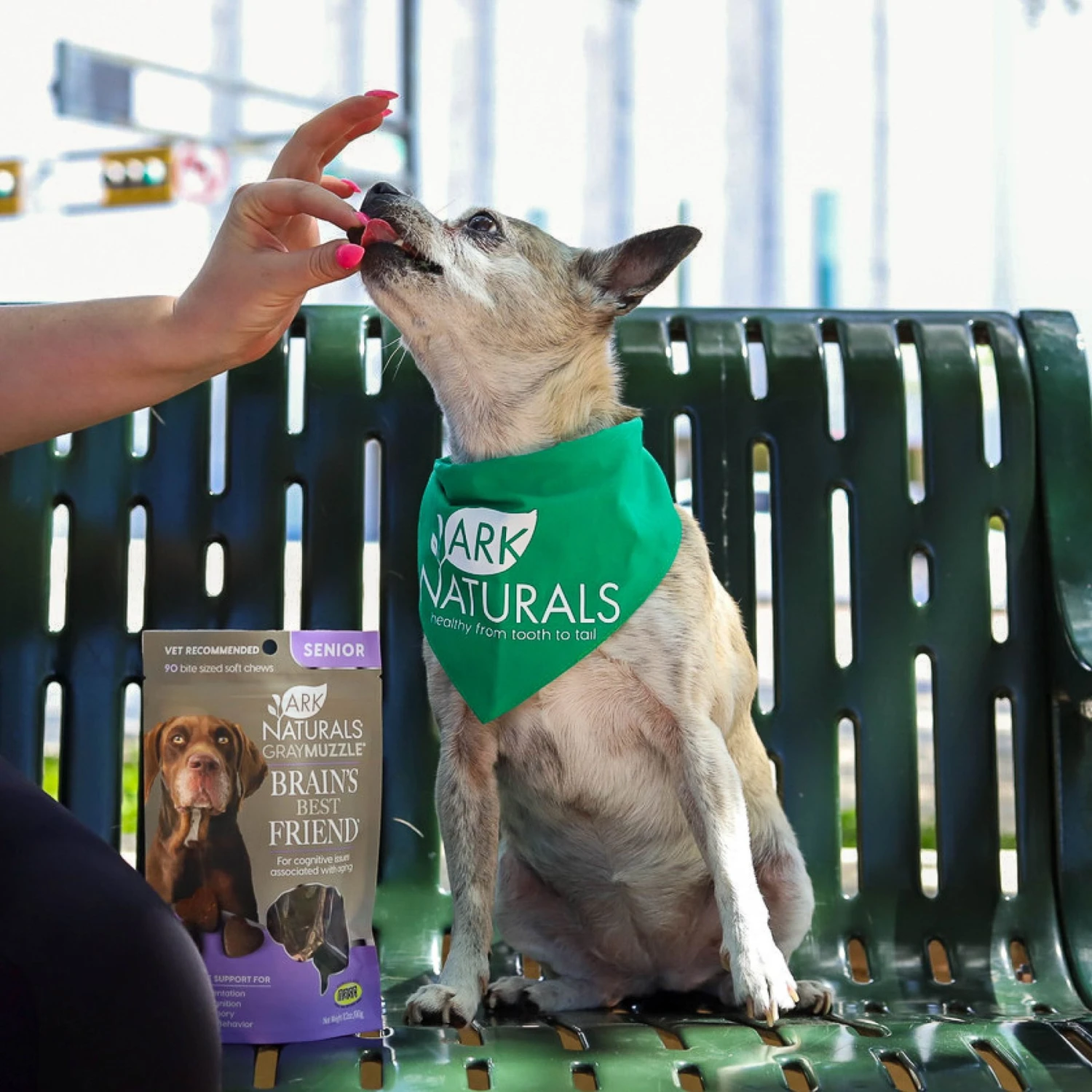 Ark Naturals Gray Muzzle Brain's Best Friend Soft Chew Brain & Nervous System Supplement For Senior Dogs 8 Ark Naturals Gray Muzzle Brain's Best Friend Soft Chew Brain & Nervous System Supplement For Senior Dogs - Image 8